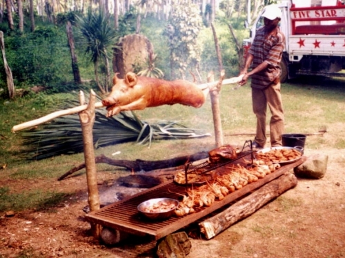A luxurious Barbecue Party - pork, fish and langustins from the grill.